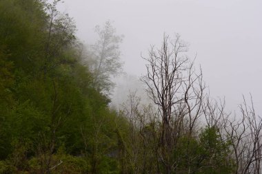 Giffoni Valle Piana 'da sisli dağ manzarası, Güney İtalya, 15 Mayıs 2023.