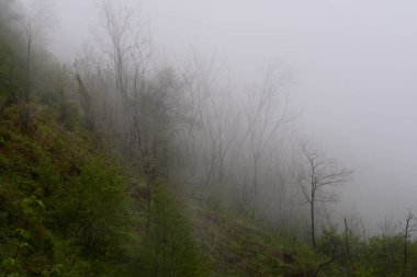 Giffoni Valle Piana 'da sisli dağ manzarası, Güney İtalya, 15 Mayıs 2023.