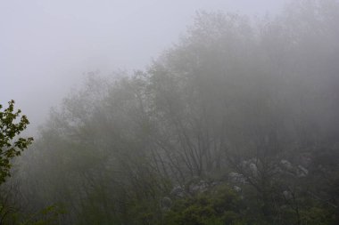 Giffoni Valle Piana 'da sisli dağ manzarası, Güney İtalya, 15 Mayıs 2023.