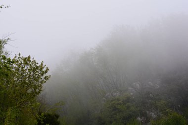 Giffoni Valle Piana 'da sisli dağ manzarası, Güney İtalya, 15 Mayıs 2023.