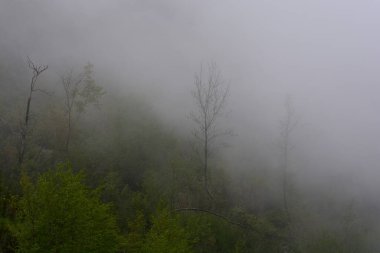 Giffoni Valle Piana 'da sisli dağ manzarası, Güney İtalya, 15 Mayıs 2023.