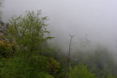 Giffoni Valle Piana 'da sisli dağ manzarası, Güney İtalya, 15 Mayıs 2023.