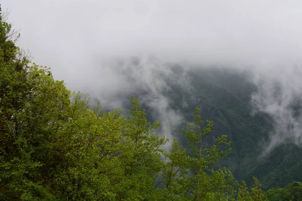 Ορεινό Τοπίο Ομίχλη Στο Giffoni Valle Piana Νότια Ιταλία Μαΐου — Φωτογραφία Αρχείου