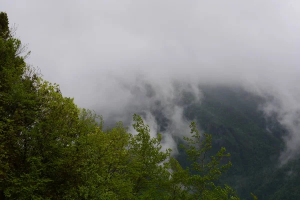 Berglandschaft Mit Nebel Giffoni Valle Piana Süditalien Mai 2023 — Stockfoto