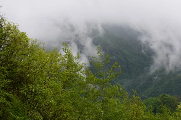 Paesaggio Montano Con Nebbia Giffoni Valle Piana Maggio 2023 — Foto Stock