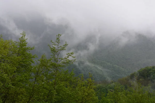 Гірський Краєвид Туманом Гіффоні Валле Піані Південна Італія 2023 Року — стокове фото