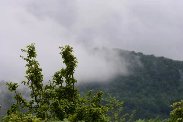Paisaje Montaña Con Niebla Giffoni Valle Piana Sur Italia Mayo —  Fotos de Stock
