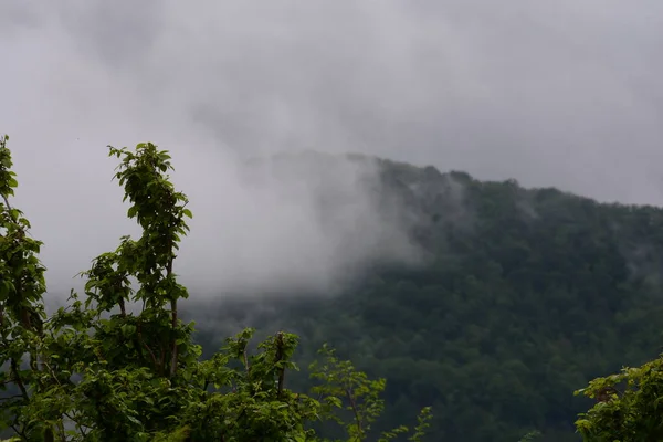 Горный Пейзаж Туманом Гиффони Валле Пиана Южная Италия Мая 2023 — стоковое фото