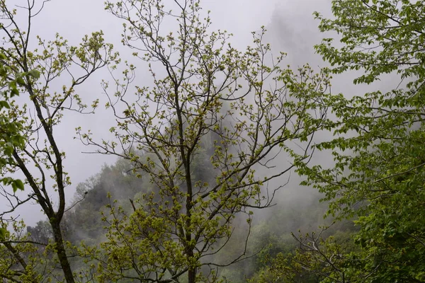 Berglandschap Met Mist Giffoni Valle Piana Zuid Italië Mei 2023 — Stockfoto