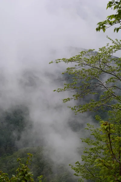 Horská Krajina Mlhou Giffoni Valle Piana Jižní Itálie Května 2023 — Stock fotografie