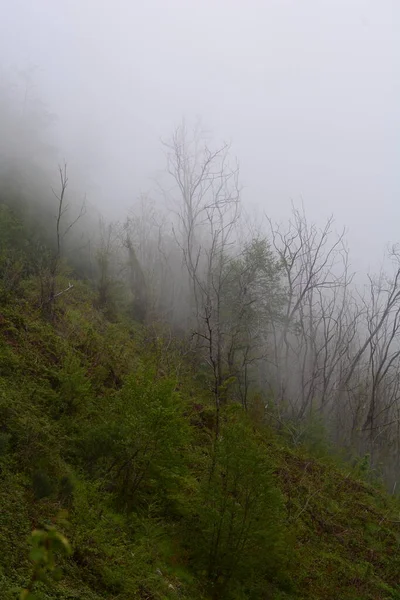 stock image Mountain landscape with fog in Giffoni Valle Piana,Southern Italy,May 15,2023.