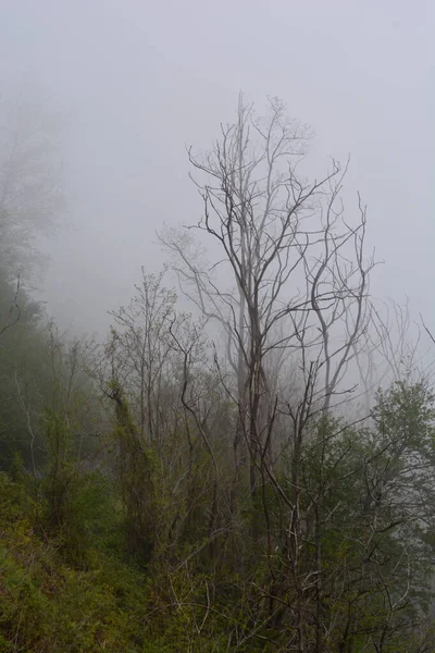 Paisagem Montanhosa Com Nevoeiro Giffoni Valle Piana Sul Itália Maio — Fotografia de Stock