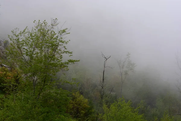 Ορεινό Τοπίο Ομίχλη Στο Giffoni Valle Piana Νότια Ιταλία Μαΐου — Φωτογραφία Αρχείου