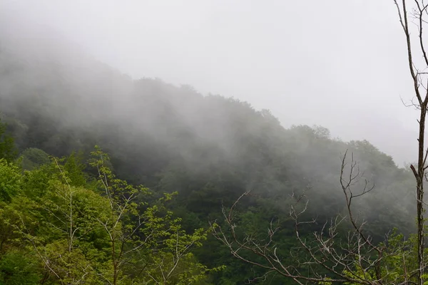 Krajobraz Górski Mgłą Giffoni Valle Piana Południowe Włochy Maja 2023 — Zdjęcie stockowe