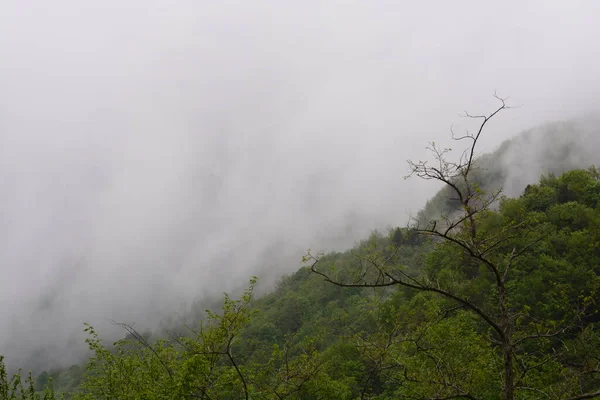 Горный Пейзаж Туманом Гиффони Валле Пиана Южная Италия Мая 2023 — стоковое фото