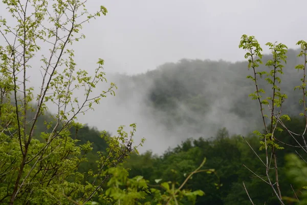 Paisaje Montaña Con Niebla Giffoni Valle Piana Sur Italia Mayo —  Fotos de Stock