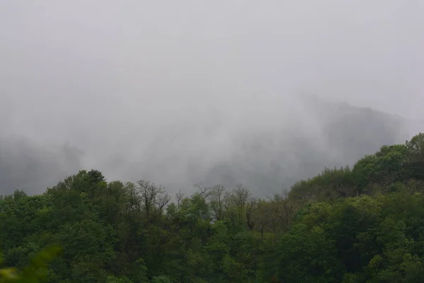 Horská Krajina Mlhou Giffoni Valle Piana Jižní Itálie Května 2023 — Stock fotografie