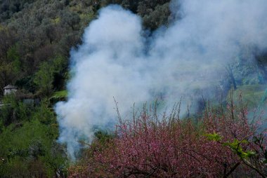 Güney İtalya, Campania 'da dağ yangını, 27 Mart 2024.
