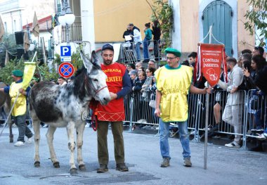 San Cipriano Picentino, İtalya - 27 Ekim 2024, Ortaçağ Festivali: Eşek yarışı.