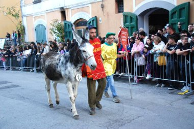 San Cipriano Picentino, Italy - October 27, 2024, Medieval Festival : Donkey race. clipart