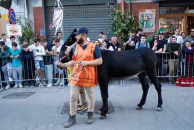 San Cipriano Picentino, İtalya - 27 Ekim 2024, Ortaçağ Festivali: Eşek yarışı.