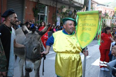 San Cipriano Picentino, Italy - October 27, 2024, Medieval Festival : Donkey race. clipart