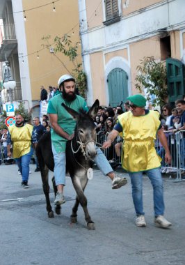 San Cipriano Picentino, Italy - October 27, 2024, Medieval Festival : Donkey race. clipart