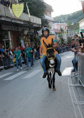 San Cipriano Picentino, Italy - October 27, 2024, Medieval Festival : Donkey race. clipart