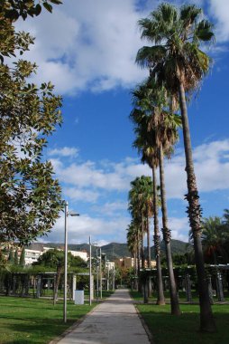 İtalya: Mercatello parkının Salerno 'daki manzarası, 20 Kasım 2024.