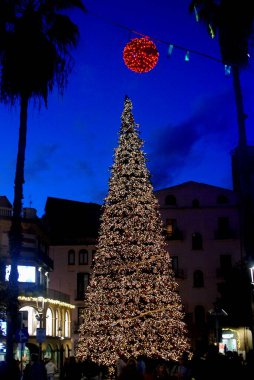 İtalya: Salerno 'da Noel Ağacı, 10 Aralık 2024.