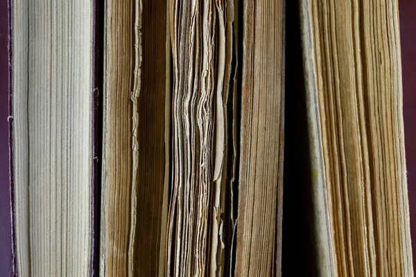 你可以在这里看到 有些旧书的书页磨损得很厉害 边缘也很黑 — 图库照片