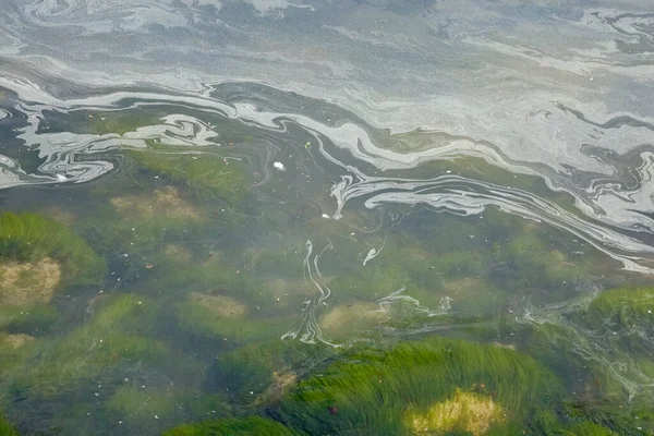 Una Capa Contaminantes Claramente Visible Superficie Del Agua Del Mar — Foto de Stock