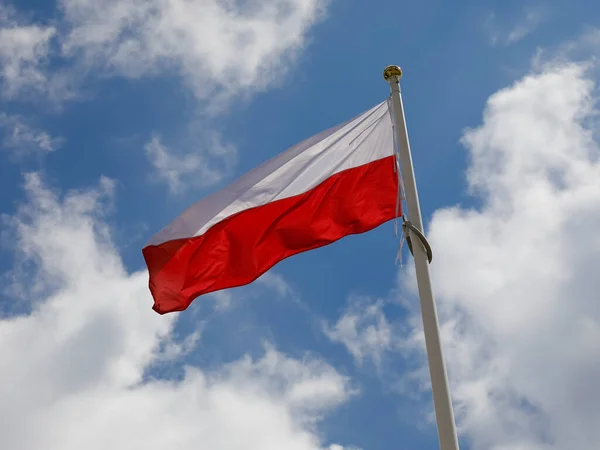 在刮风的日子里 波兰的红白相间的国旗在风中飘扬 — 图库照片