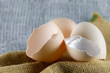 The shells of broken eggs were placed on linen fabric.