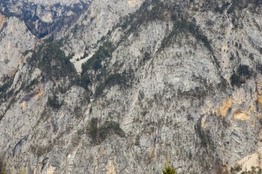 Avusturya, Arnoldstein 'da bir yerden görülebilen ağaçlarla kaplı dik bir kayalık yamacın bir bölümü.