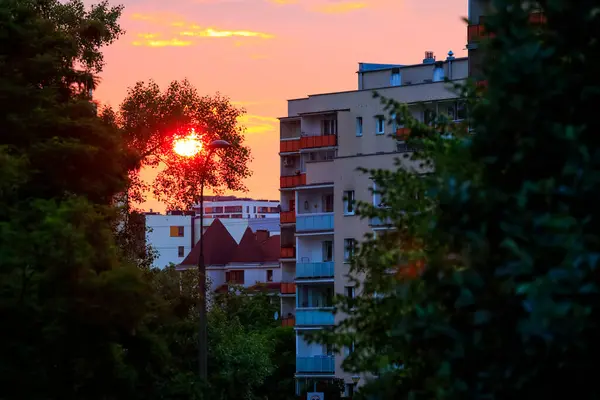 许多家庭居住在华沙Praga Poludnie区Goclaw住宅区的公寓楼里 黄昏时分 在树后微微隐约可见 — 图库照片