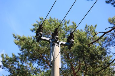 Elektrik hattı, Polonya 'da Wilg diye bilinen bir köyün yakınlarındaki orman alanlarından geçiyor.