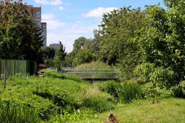 Dar kanal Varşova 'daki Goclaw konutlarından akıyor. Yazın, kanalın suyu neredeyse görünmezdir çünkü bitkiler onun etrafında yoğun bir şekilde büyürler.