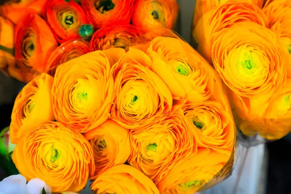 Yellow Peony Flowers Sale Famous Cours Saleya Flower Market Nice — Stock Photo, Image