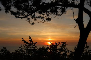 Gökyüzü, ağaçların siluetleri ve diğer bitki örtüsü ve deniz suyu, hepsi de Ustronie-Morskie, Batı Pomerania, Polonya 'dan görüldüğü üzere Baltık Denizi' nin üzerinde batan güneş tarafından yaratılan çeşitli renklerle..