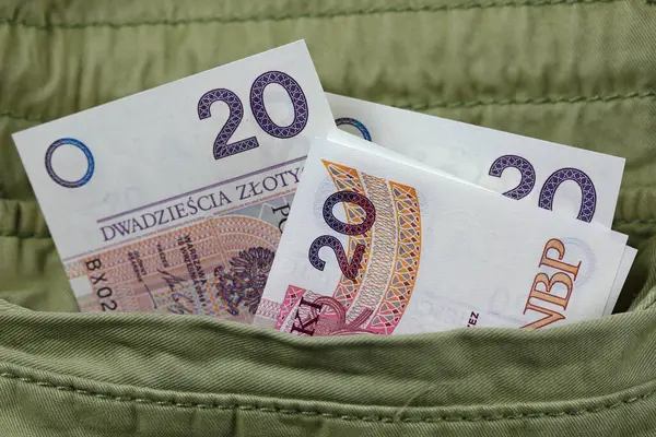 stock image Banknotes sticking out of a pocket. This theme can be used to illustrate a wide range of financial topics. Polish Zloty currency, PLN