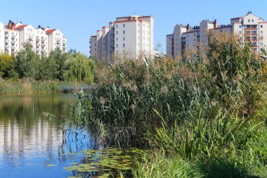 Varşova, Polonya - 15 Eylül 2023: yemyeşil bitki örtüsü ve gölü olan kamu parkı. Praga-Poludnie bölgesindeki Goclaw konutlarında apartman blokları görülebiliyor