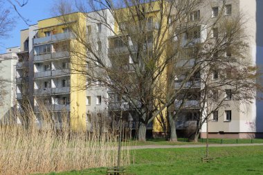 Varşova, Polonya - 7 Mart 2024: Praga-Poludnie bölgesindeki Goclaw konutlarında karsız bir kış mevsiminde yapraksız ağaçların arkasında bir apartman bloğu