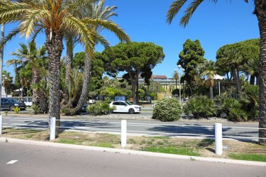 Güzel, Fransa - 26 Nisan 2023: palmiyeler ve yemyeşil bitki örtüsü şehir manzarasının doğal bir süsüsüdür. Bu palmiyelerin arasından geçen yolu görebilirsin..