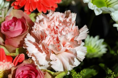 Renkli düzenleme güller, karanfil çiçekleri ve daha fazlası