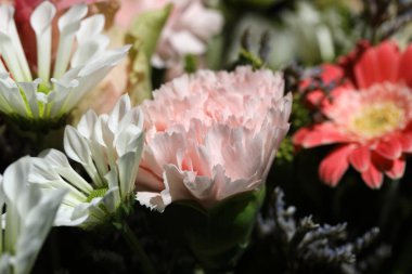 Gerberalar, karanfiller ve daha fazlası ile karışık çiçek aranjmanı