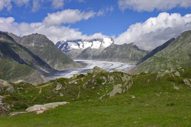 Büyük Aletsch Buzulu ile dağ sıraları, Alpler, İsviçre, Temmuz 2005