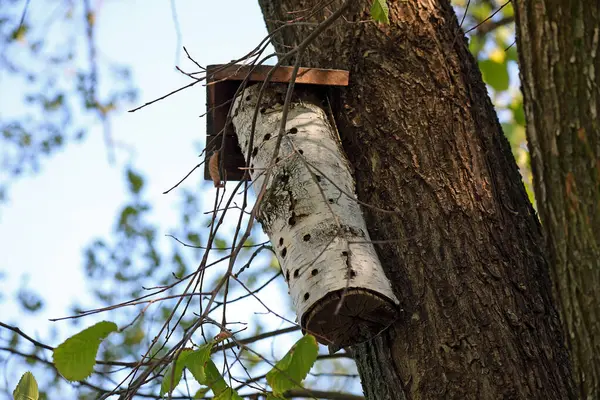 Bu küçük ev Polonya 'nın Varşova kentindeki Goclaw konutlarının parkında onarıldı.