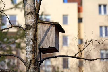 Polonya 'nın Varşova kentindeki Goclaw konutlarındaki bir parktaki ağaç gövdesine bağlı bir yuva kutusu. Tahta kuş evleri vahşi yaşamı korumaya yardımcı olur..