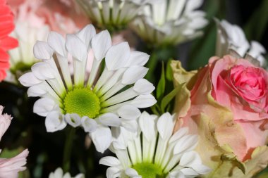 Bir buket kesilmiş çiçek..